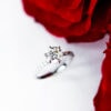 6 Claw Round Moissanite Pavè Engagement Ring South Africa 1