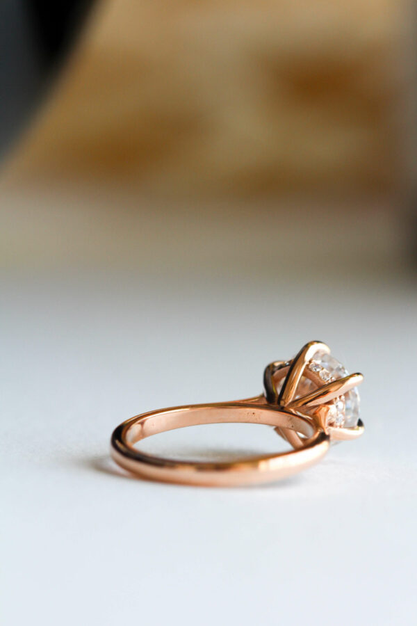 6-Claw Round Hidden Halo Engagement Ring South Africa 2