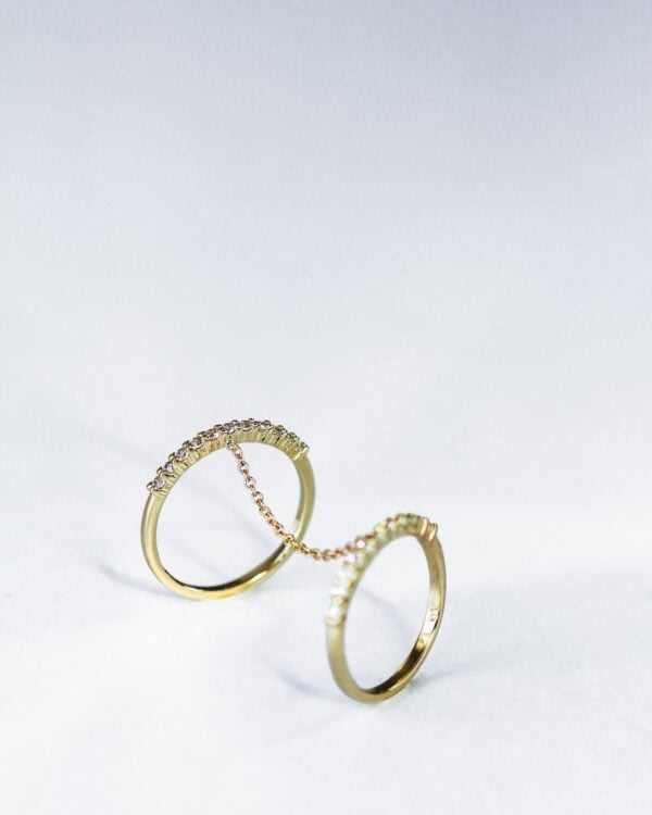 Double Chain Ring