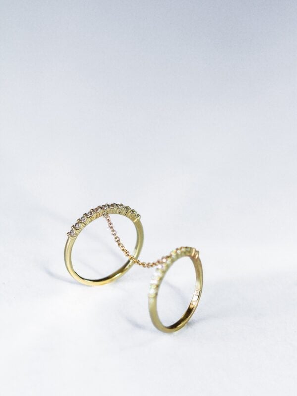 Double Chain Ring