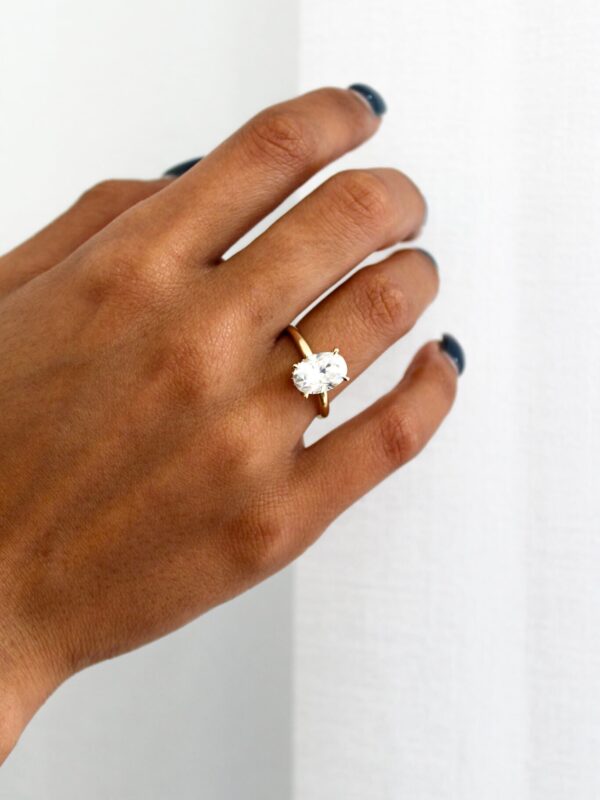 Double Hidden Halo Engagement Ring