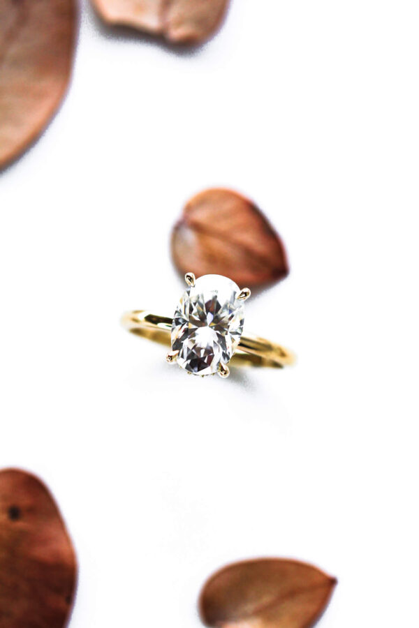 Double Hidden Halo Engagement Ring - Image 2