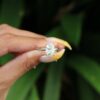 Elongated Cushion Moissanite Solitaire Engagement Ring South Africa 2