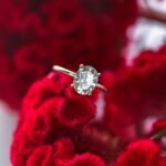 Oval Hidden Halo Moissanite Engagement Ring