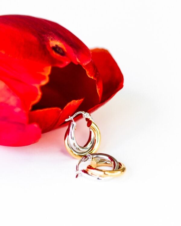 Double Hoop Gold Huggies Earrings