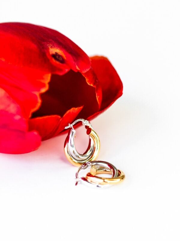 Double Hoop Gold Huggies Earrings