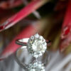 Grey Round Graduated Halo Moissanite Engagement Ring