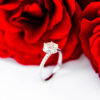 6 Claw Round Moissanite Pavè Engagement Ring White Gold