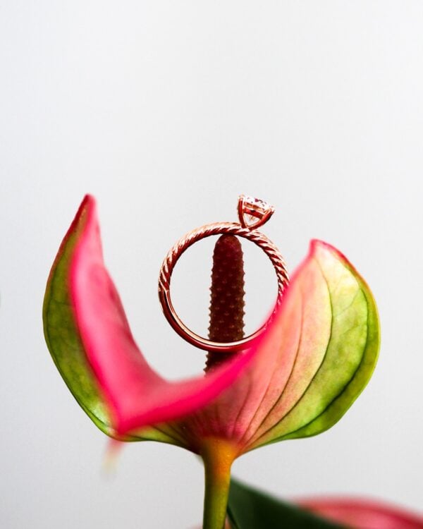 Rope Moissanite Solitaire Engagement Ring