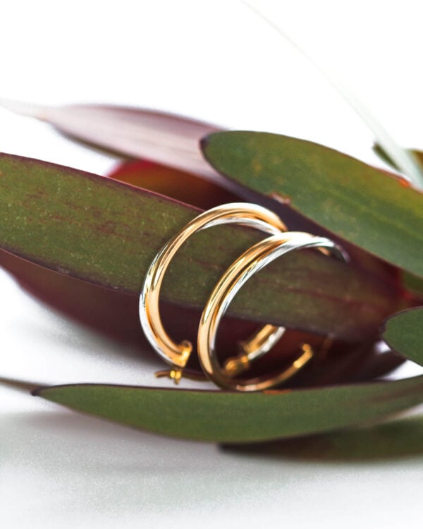 Two Tone Gold Hoop Earrings