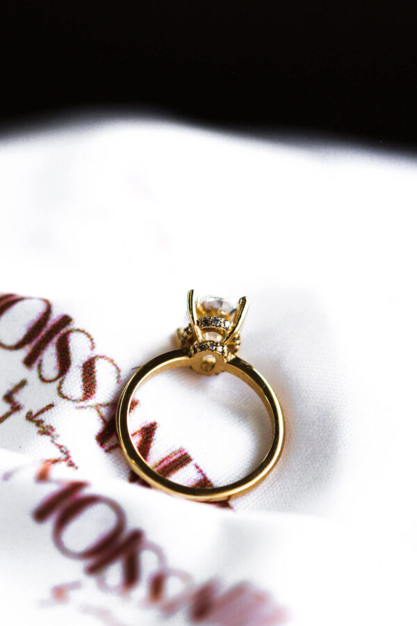 Double Hidden Halo Engagement Ring Moissanite By Design