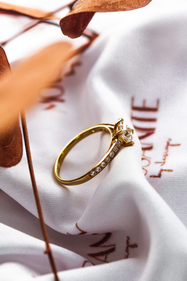 Moissanite Princess Cut Pavè Engagement Ring - Image 5