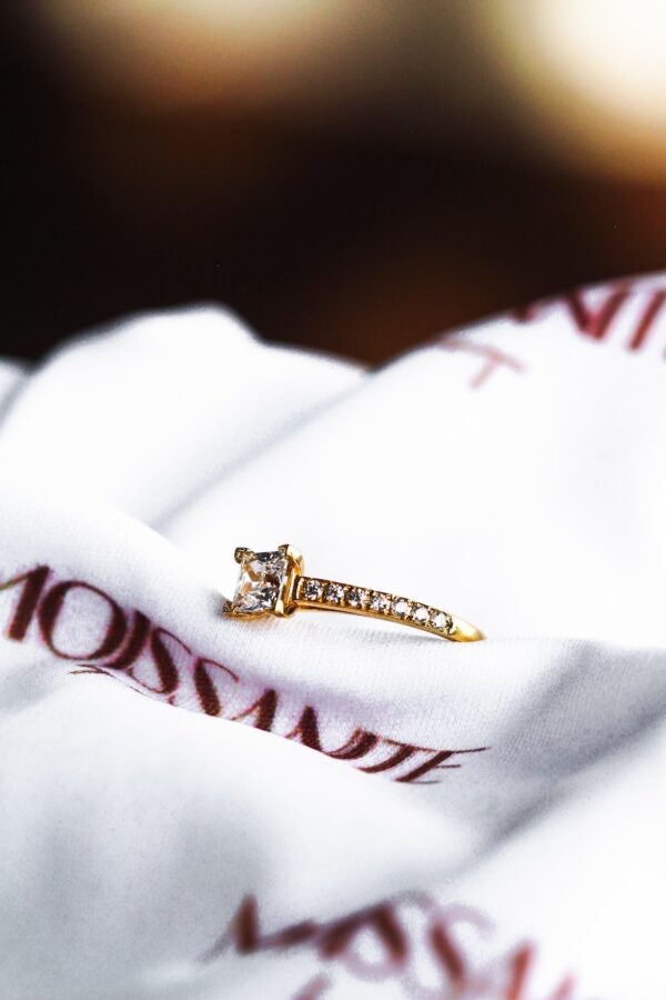 Moissanite Princess Cut Pavè Engagement Ring - Image 4