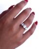 Round Trilogy Moissanite Engagement Rings