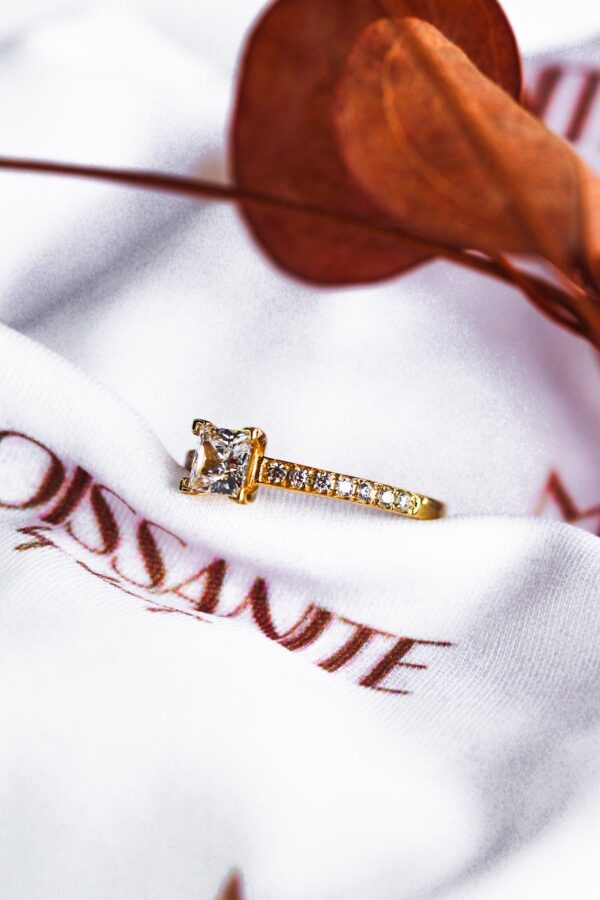 Moissanite Princess Cut Pavè Engagement Ring - Image 3